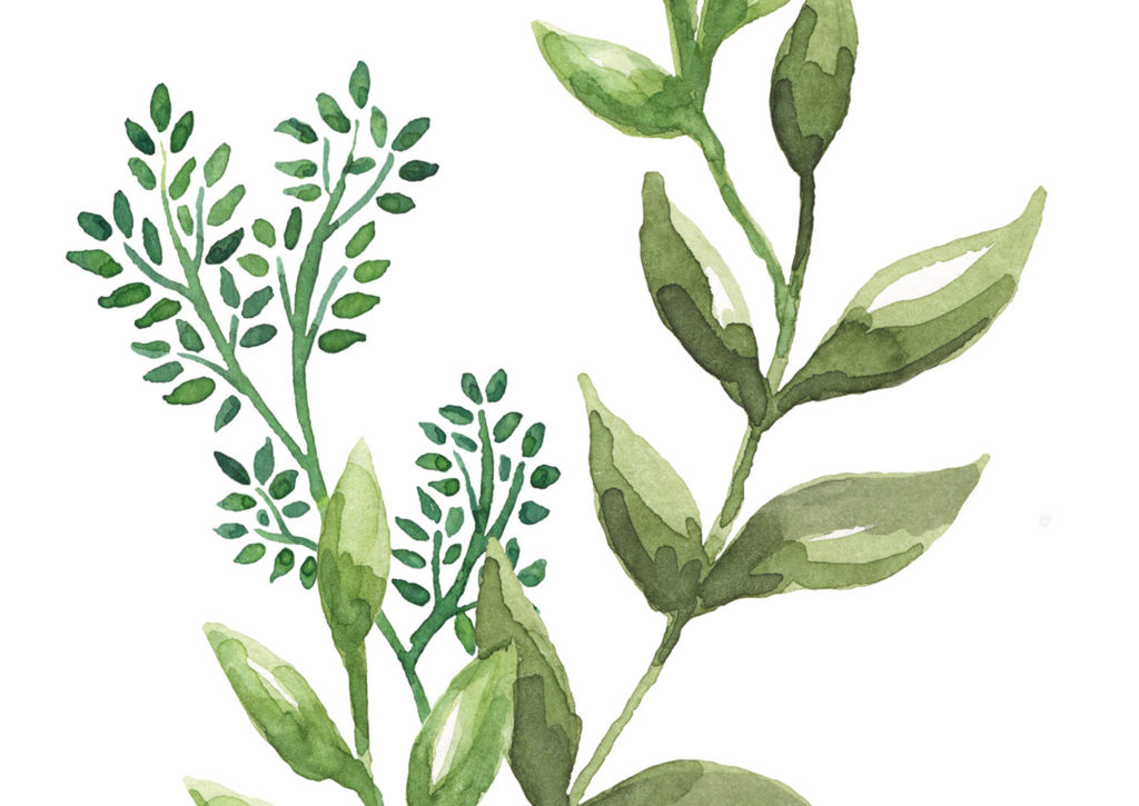 cewe_designs_15 cewe_designs_15